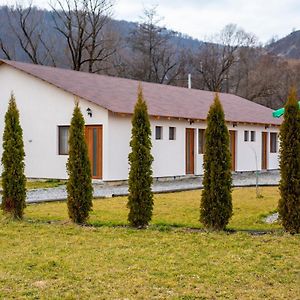 Cameră triplă basic